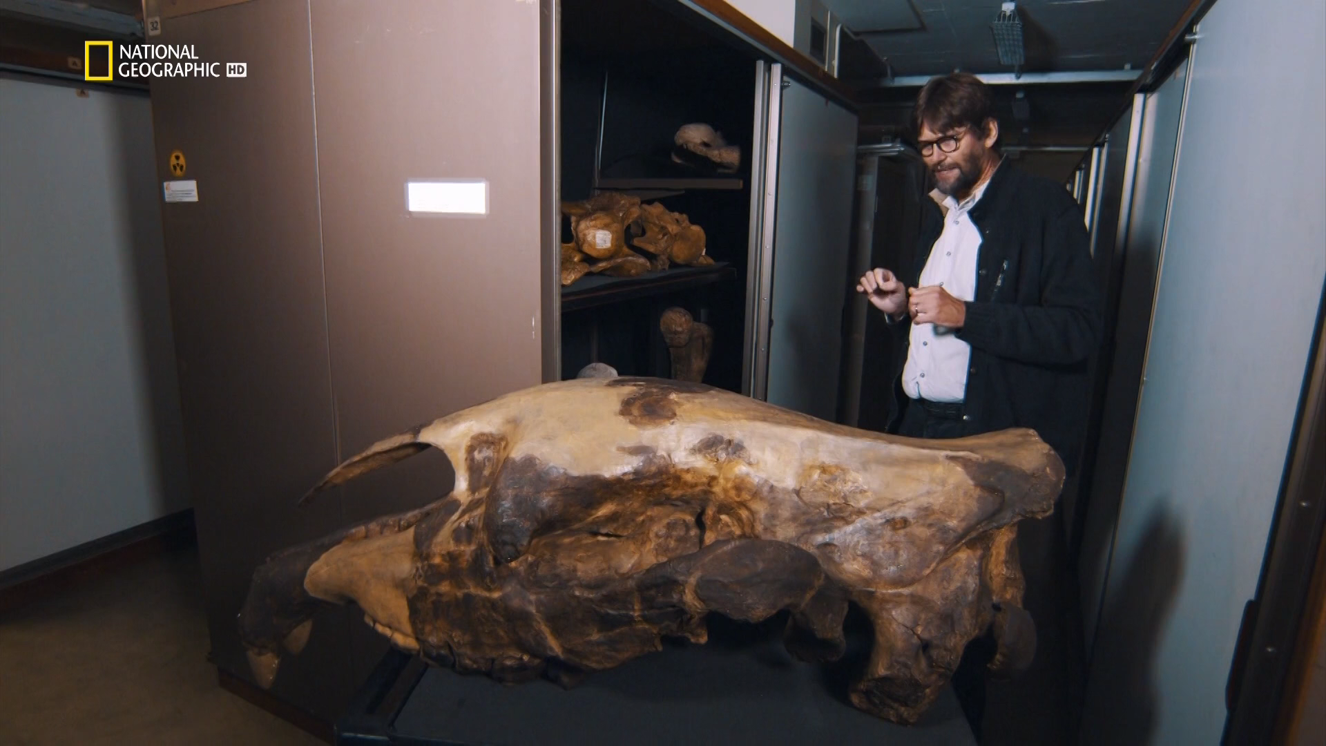 Кадр 2 з 10 найбільших монстрів усіх часів