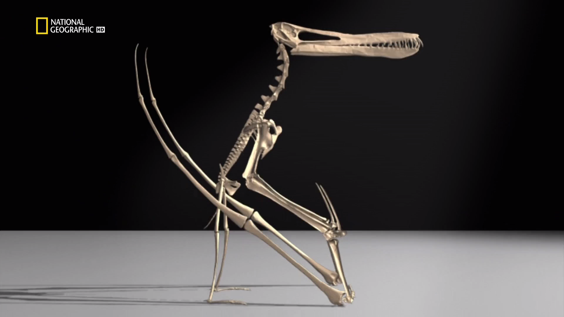 Кадр 4 з 10 найбільших монстрів усіх часів