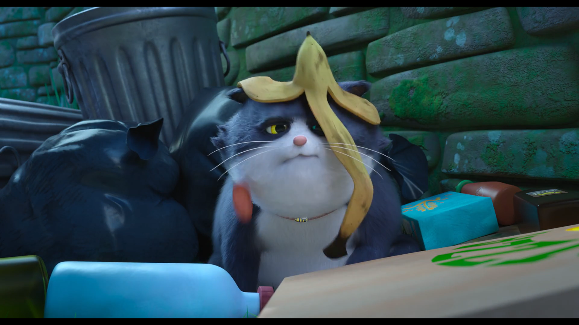 Кадр 4 з 10 життів