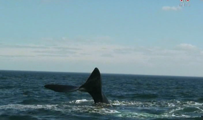 Кадр 2 з 101 ідея, що змінила світ