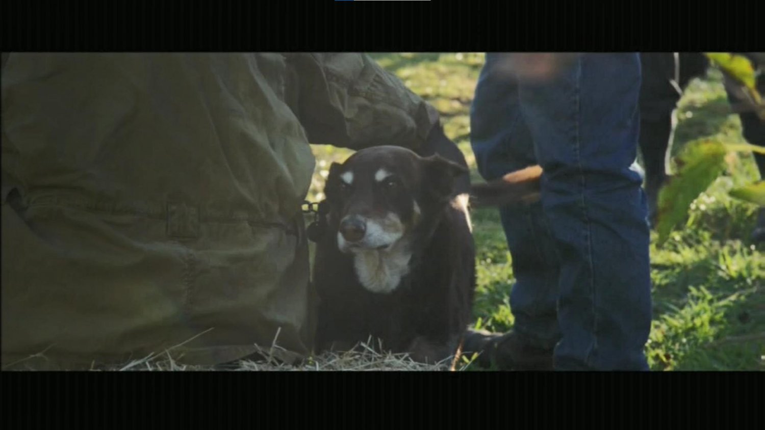 Кадр 3 з 2040: Майбутнє чекає