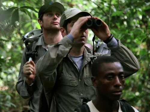 Кадр 1 з Африка 1 сезон