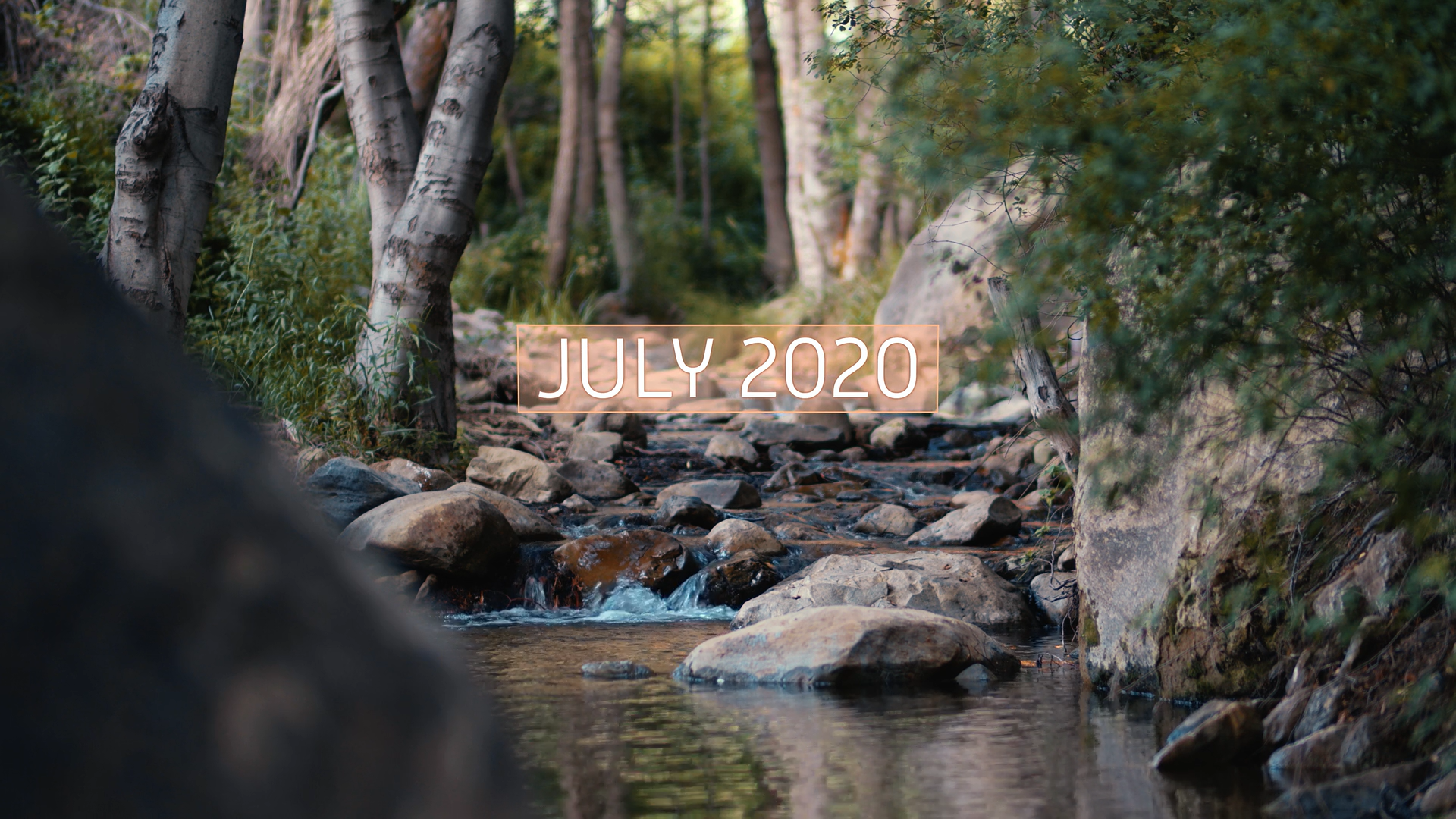 Кадр 3 з Американське вбивство: Габбі Петіто 1 сезон