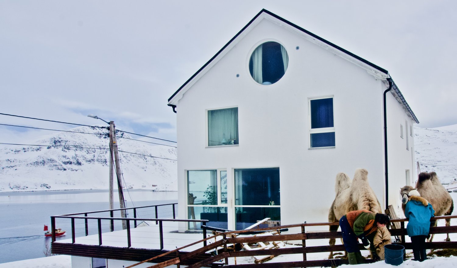 Кадр 2 з Арктичні верблюди