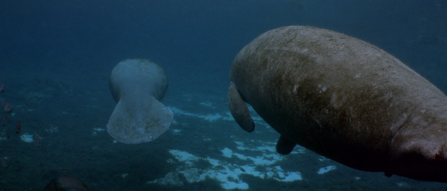 Кадр 1 з Атлантида