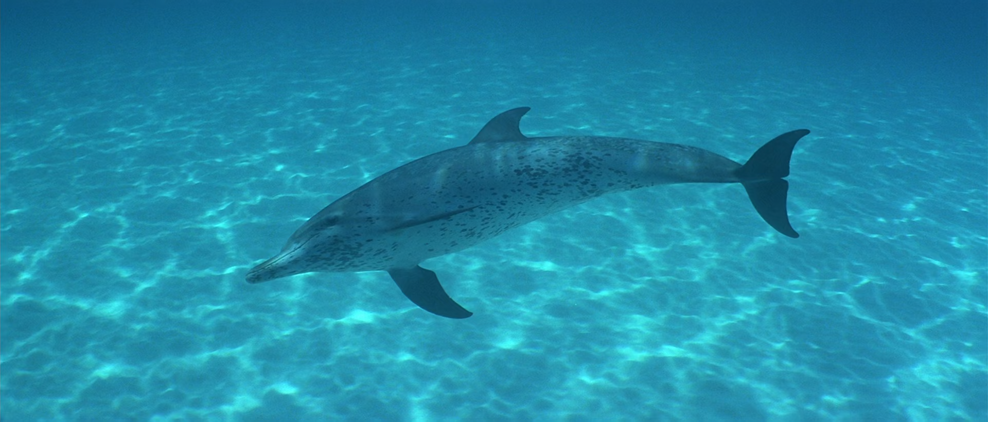 Кадр 2 з Атлантида