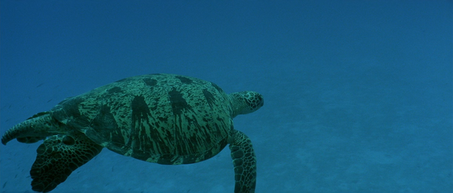 Кадр 3 з Атлантида