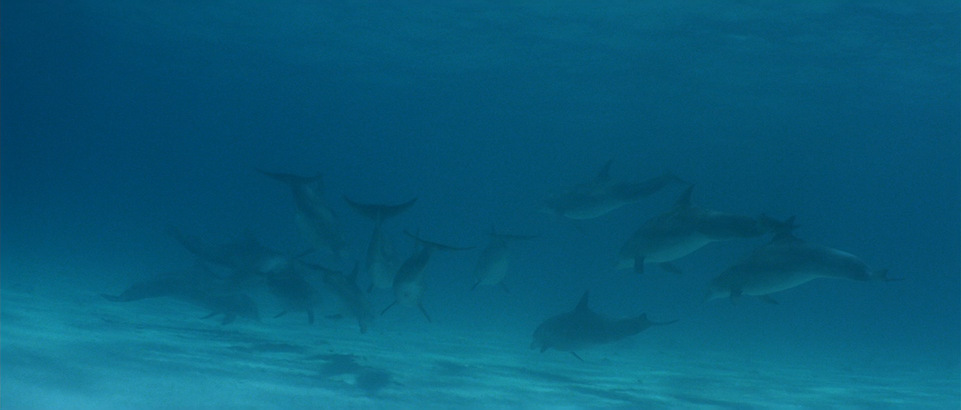 Кадр 4 з Атлантида