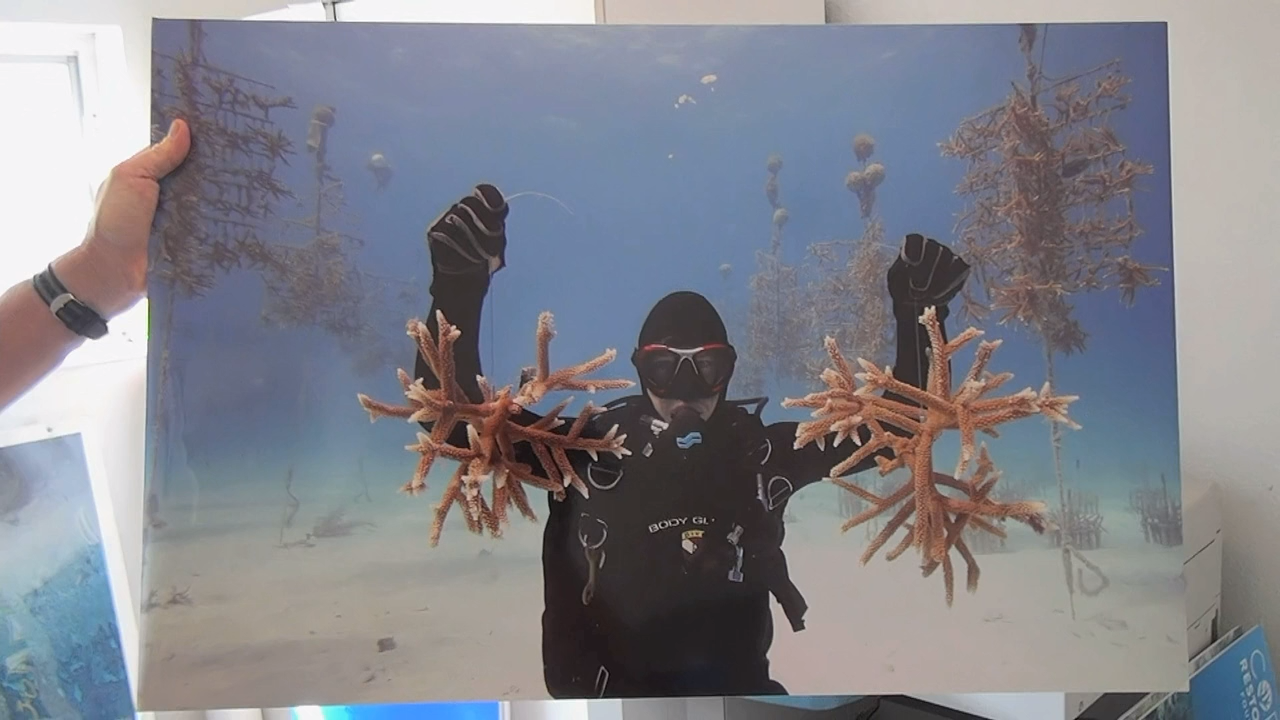 Кадр 3 з Багамські острови: Таємничі печери і затонулі кораблі