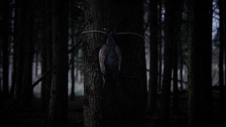 Кадр 2 з Бембі: Відплата