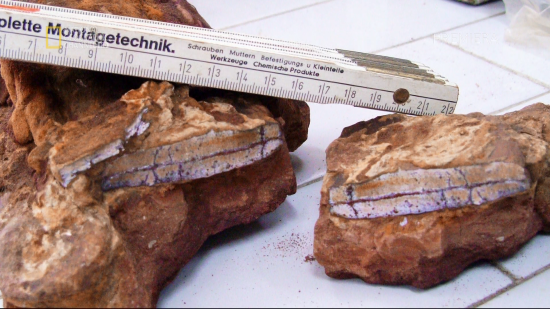 Кадр 2 з Більший за тиранозавра