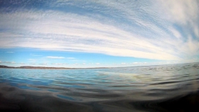 Кадр 2 з Білий ведмідь