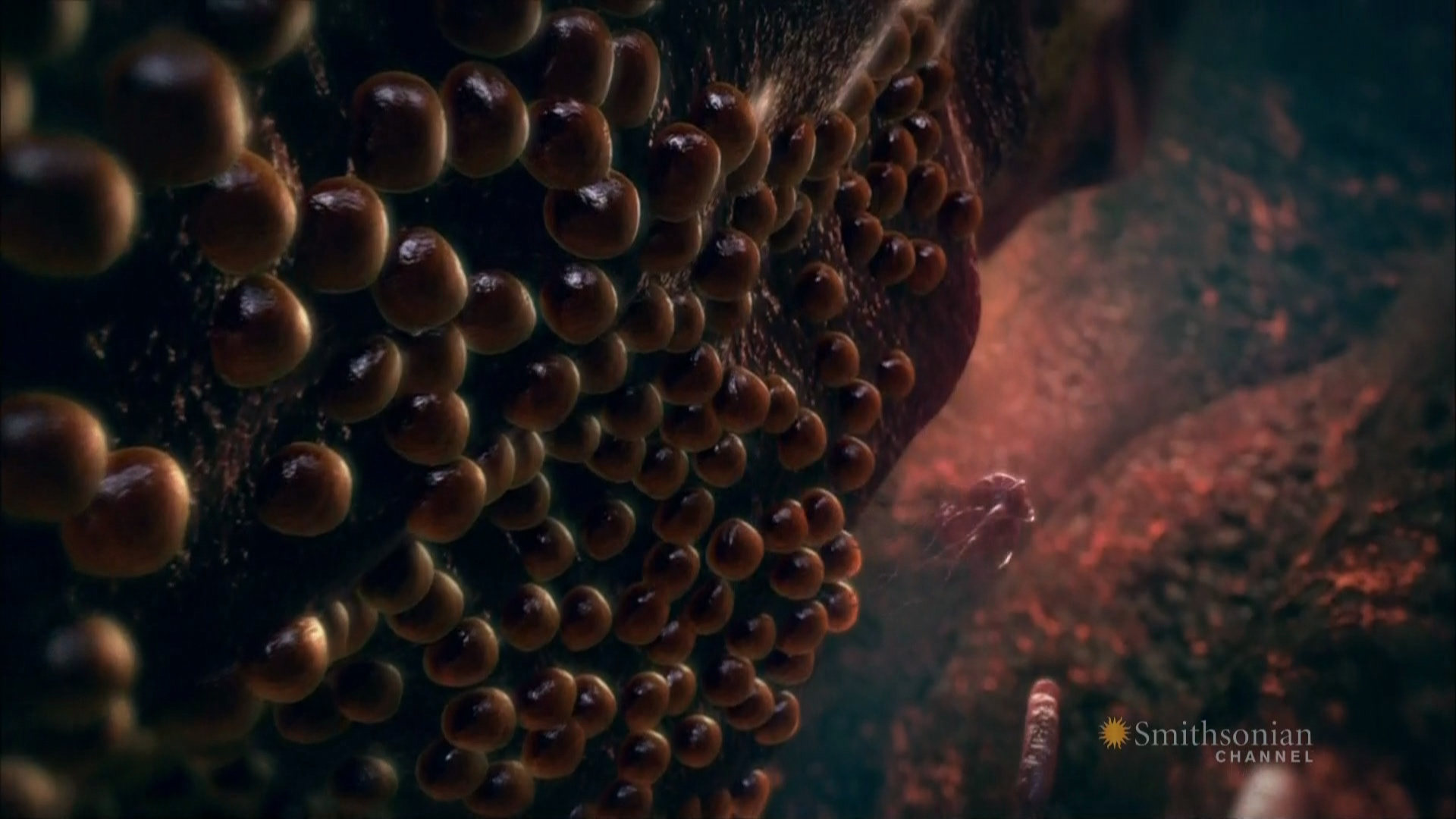 Кадр 3 з Чужинці всередині нас