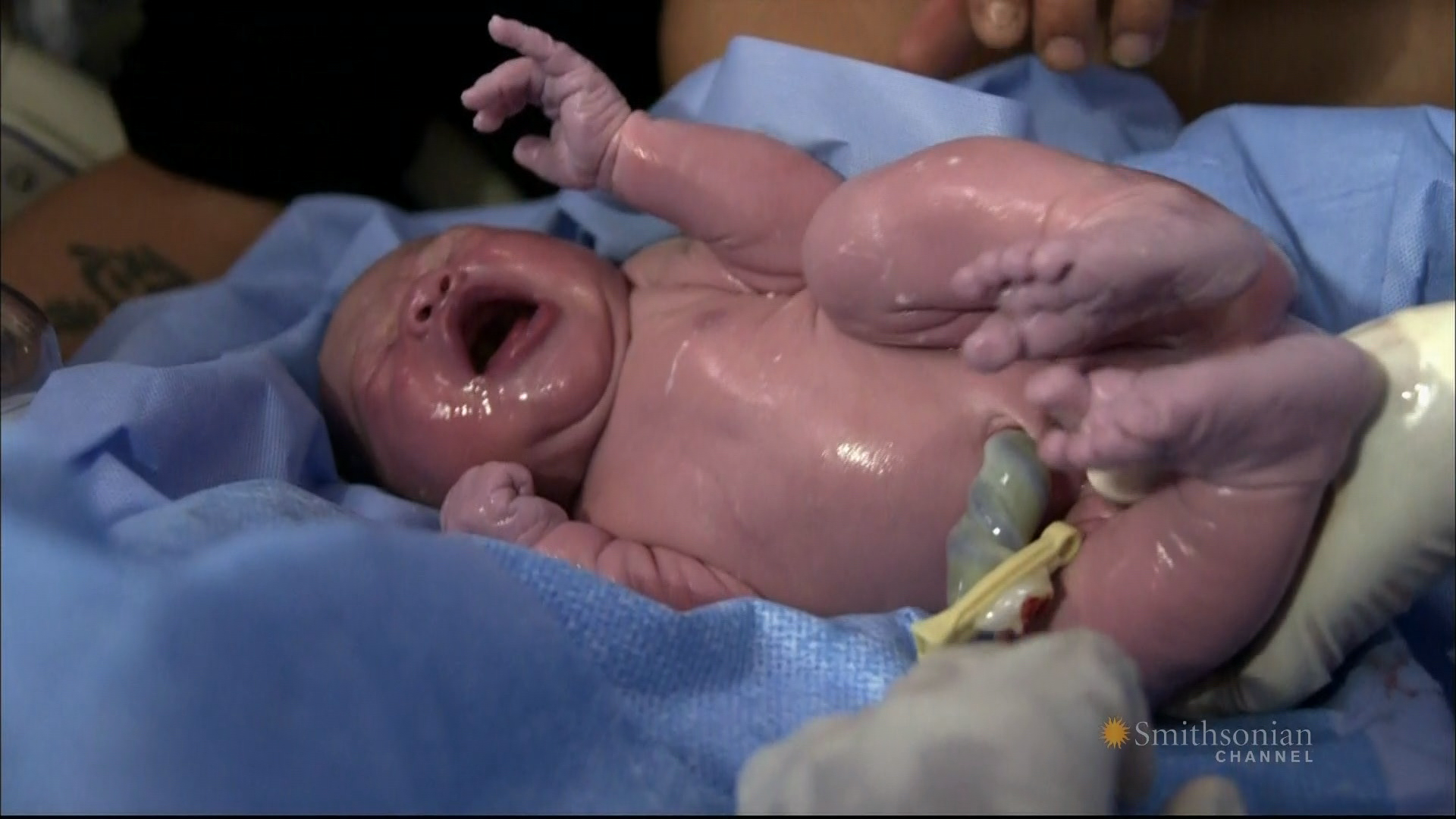 Кадр 4 з Чужинці всередині нас