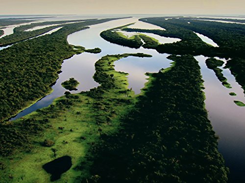 Кадр 2 з Дикі острови 1 сезон