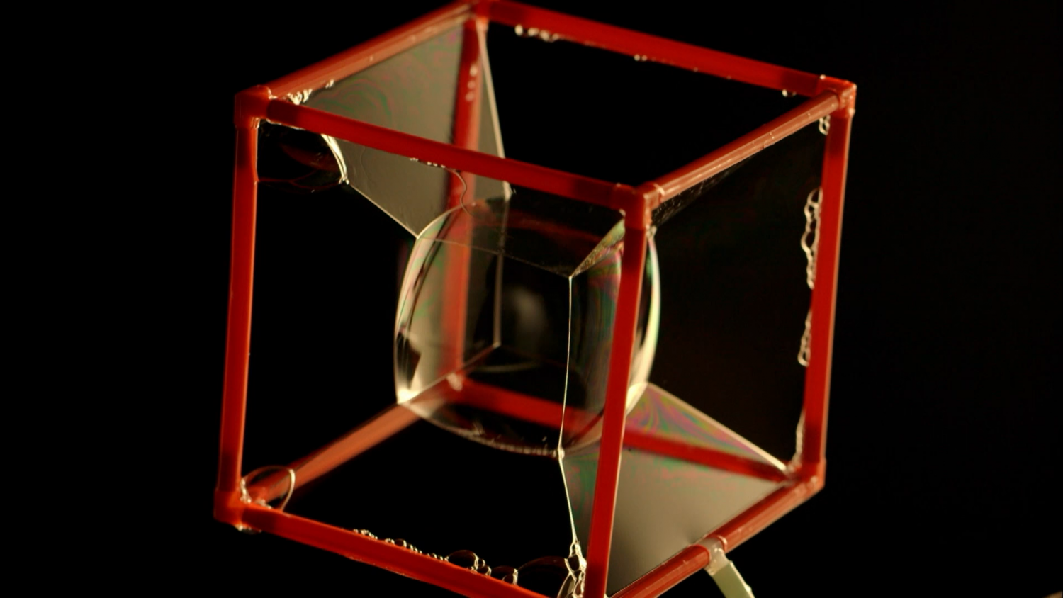 Кадр 4 з Дивовижний світ бульбашок