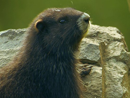 Кадр 1 з Дикі острови 2 сезон