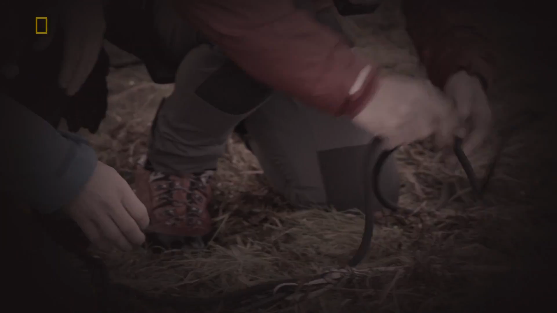 Кадр 1 з Дикі пригоди з Беаром Гріллсом 8 сезон