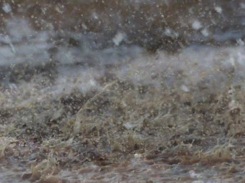 Кадр 4 з Дива природи / Бі-Бі-Сі Найвеличніші події живої природи 1 сезон