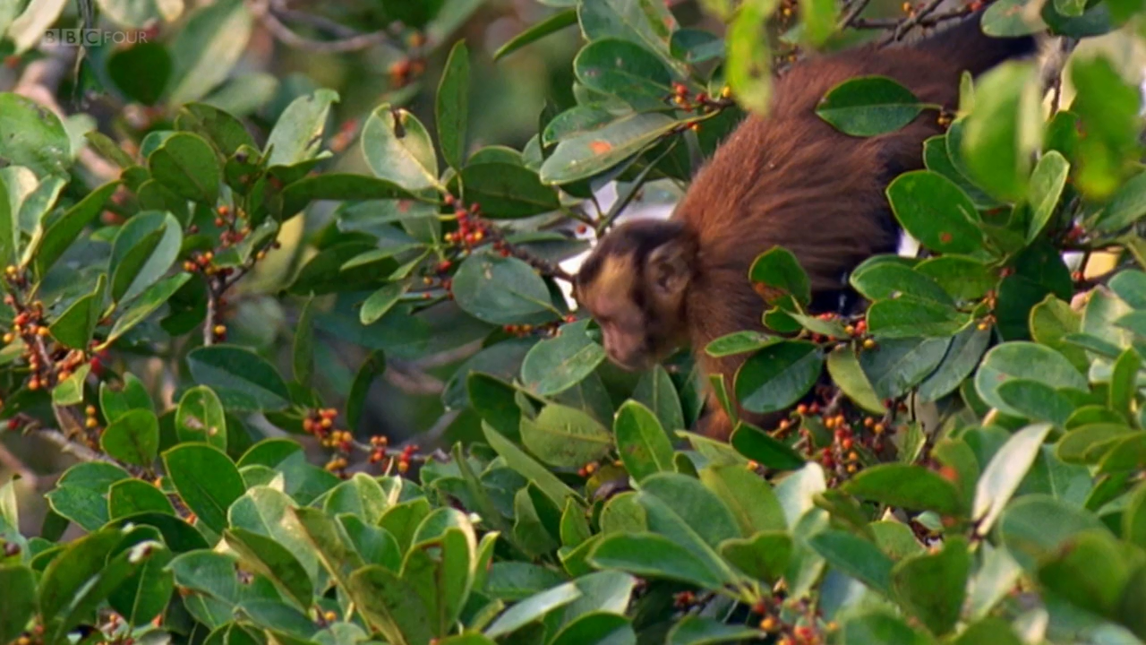 Кадр 1 з Екосистеми світу 1 сезон