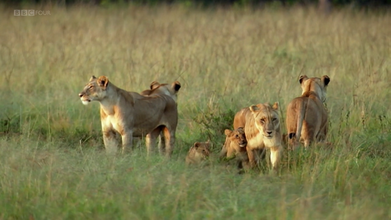 Кадр 2 з Екосистеми світу 1 сезон