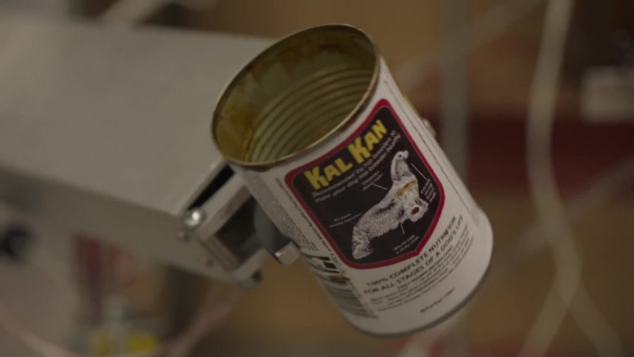 Кадр 4 з Експедиція: Назад у майбутнє 1 сезон