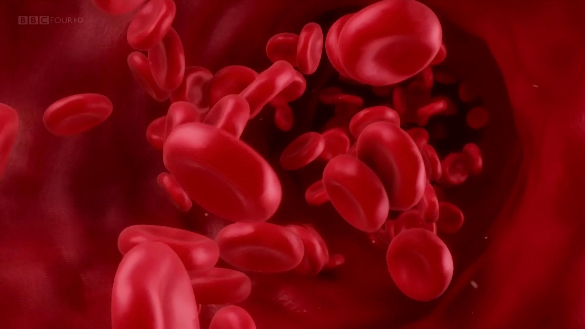 Кадр 1 з Фантастичний світ гормонів з доктором Джоном Уоссом