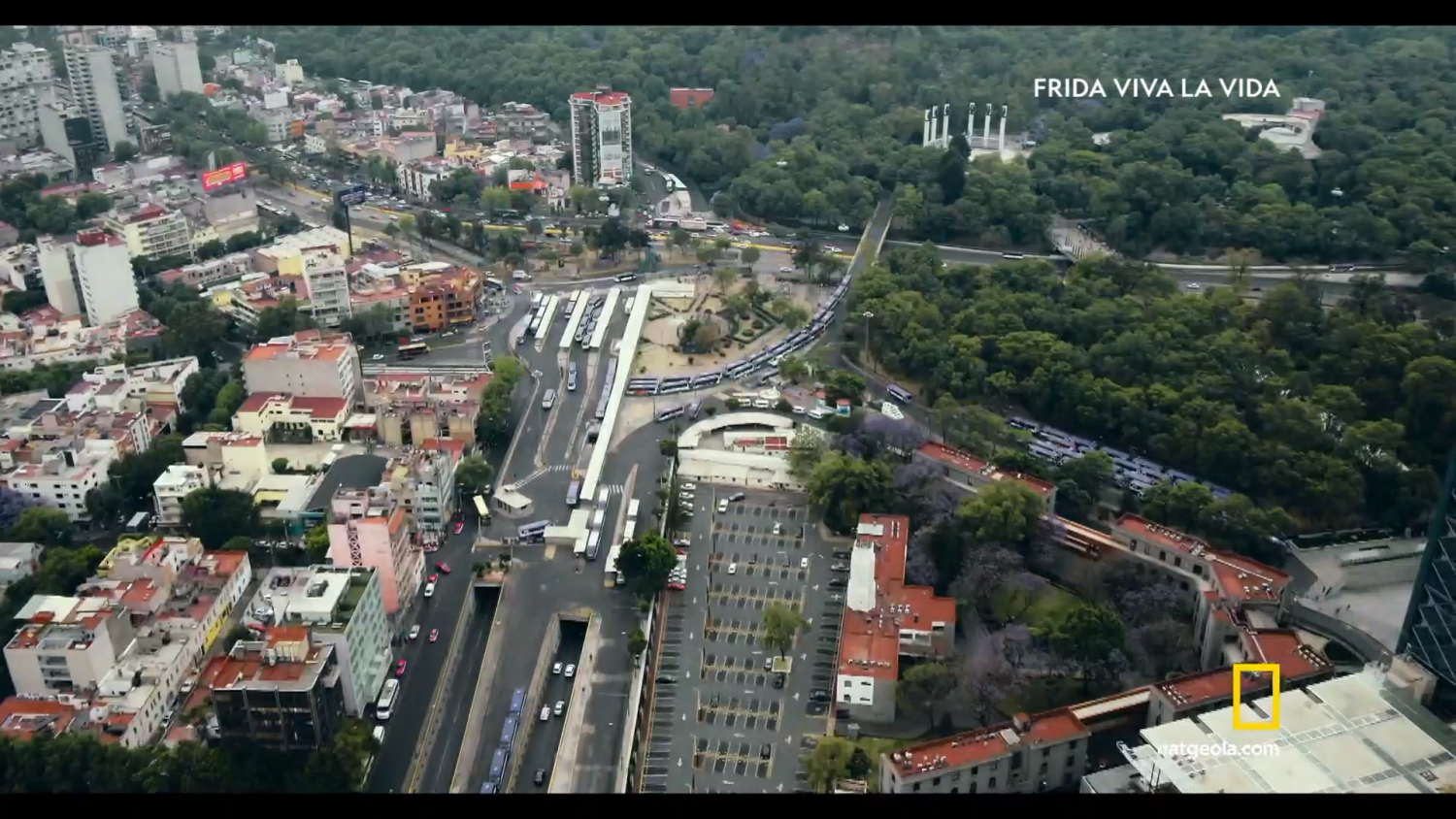 Кадр 1 з Фріда. Слава життю