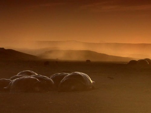 Кадр 2 з Галапагоси / Ґалапаґоси 1 сезон