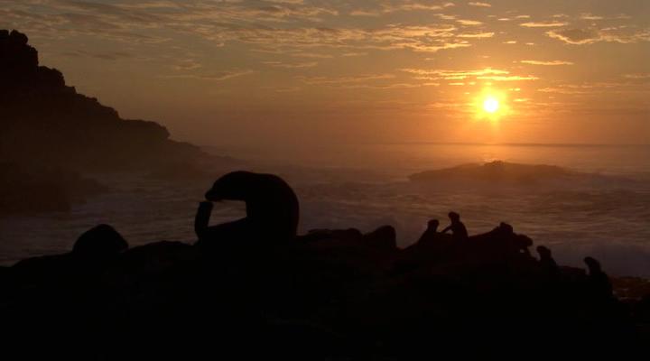 Кадр 3 з Галапагоси / Ґалапаґоси 1 сезон