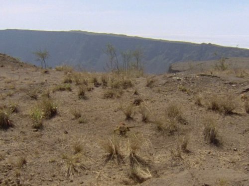 Кадр 4 з Галапагоси / Ґалапаґоси 1 сезон