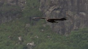 Кадр 2 з Гори Шотландії