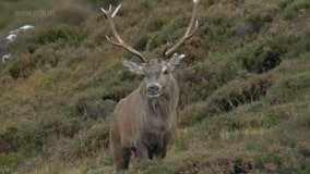 Кадр 3 з Гори Шотландії