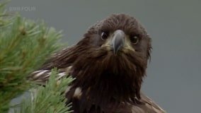 Кадр 4 з Гори Шотландії