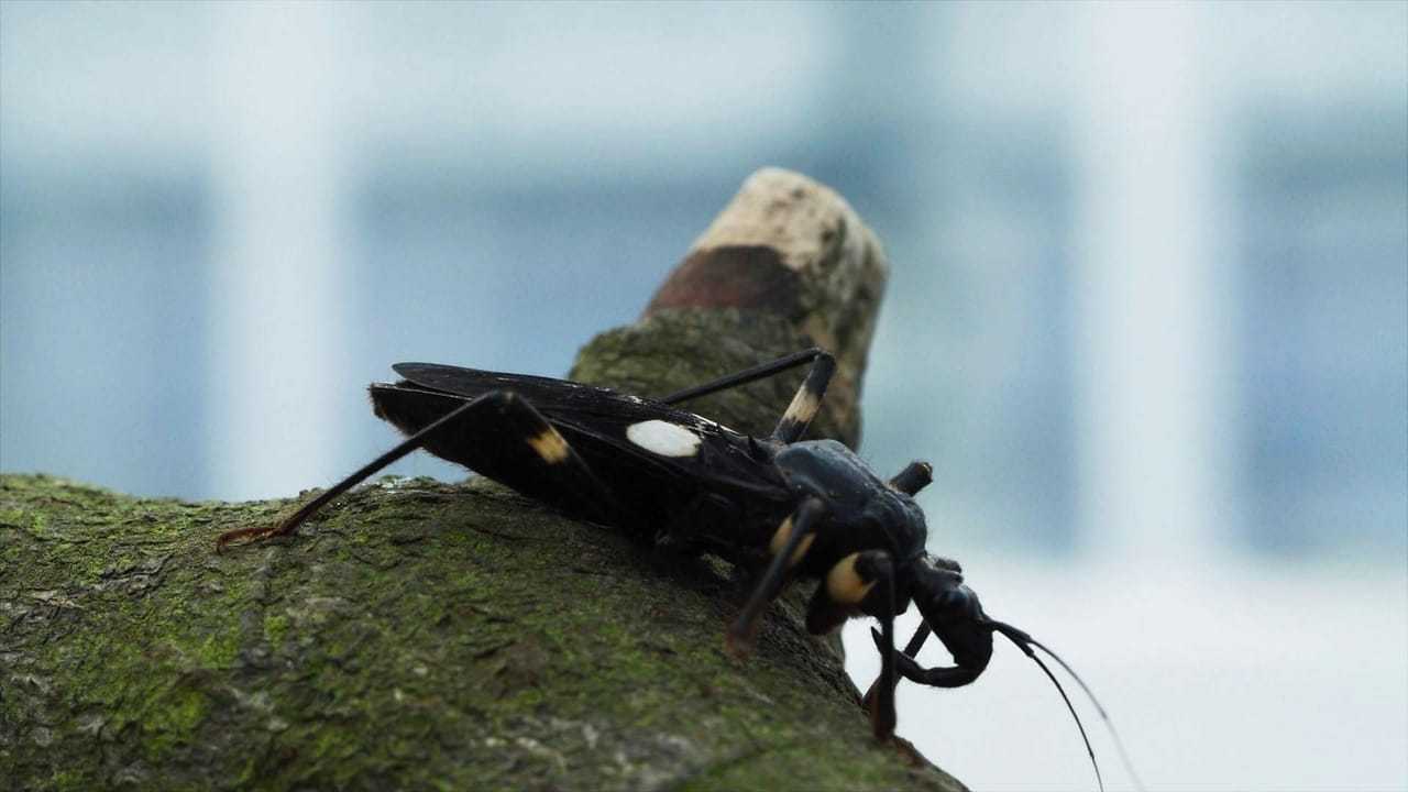 Кадр 2 з Гравітація та Я. Сила, що формує наші життя