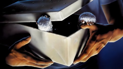 Кадр 4 з Гремліни