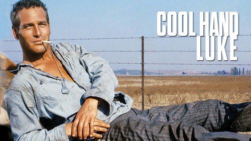 Кадр 3 з Холоднокровний Люк