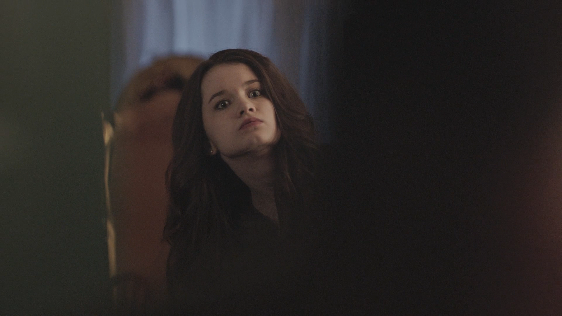 Кадр 2 з Холістичне детективне агентство Дірка Джентлі 2 сезон