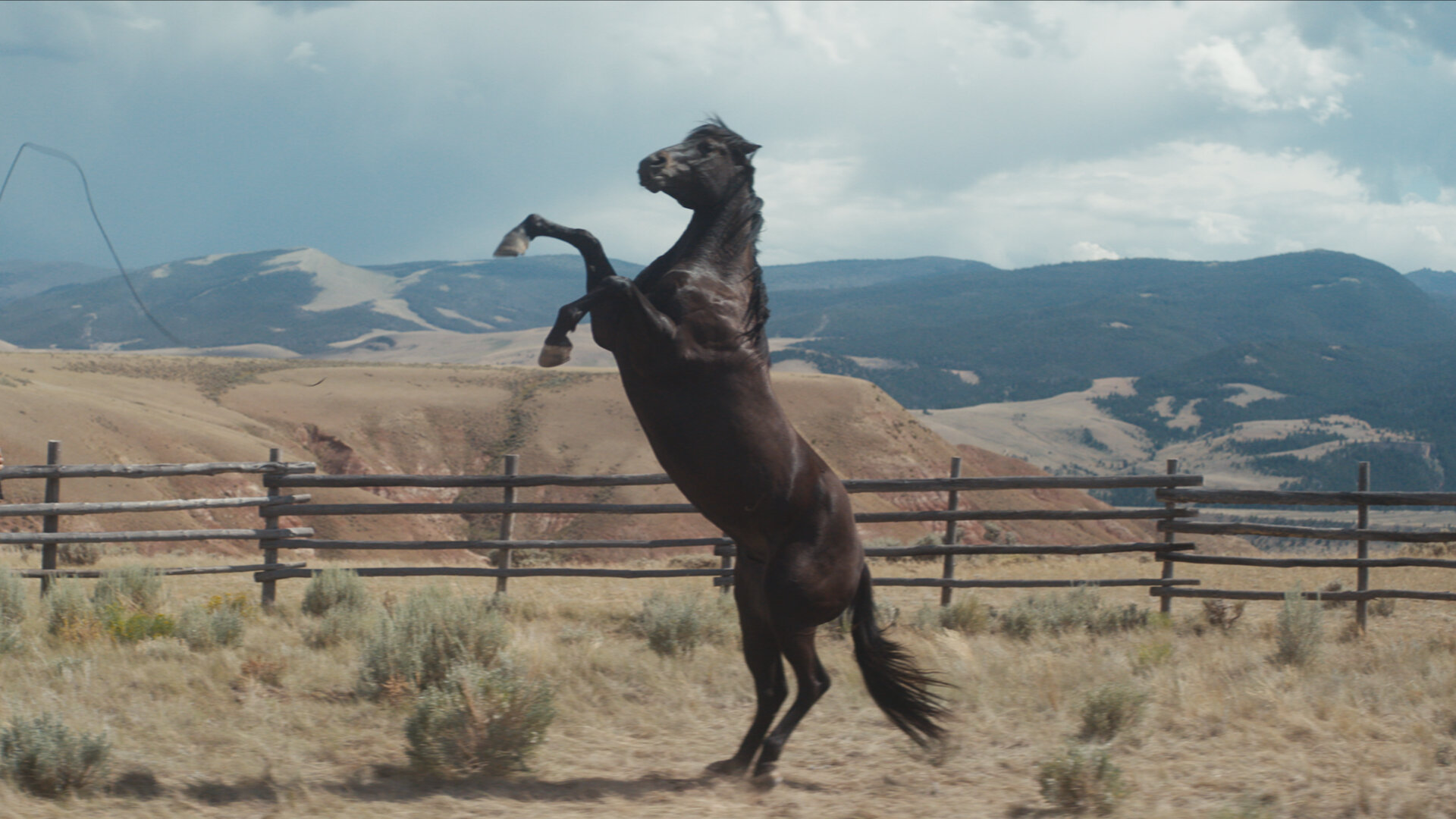 Кадр 4 з Я завжди захоплювався ковбоями
