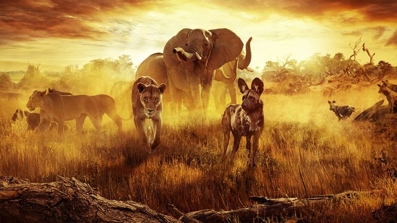 Кадр 2 з Як вижити в раю: Історія родини