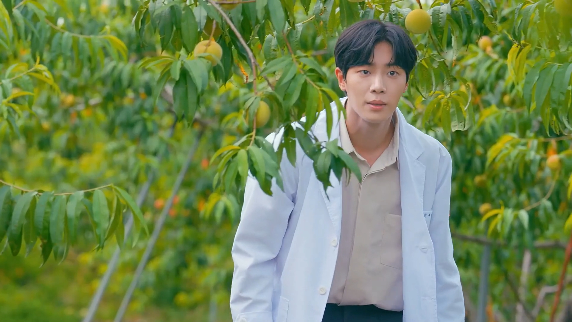 Кадр 4 з Якось в одному містечку 1 сезон