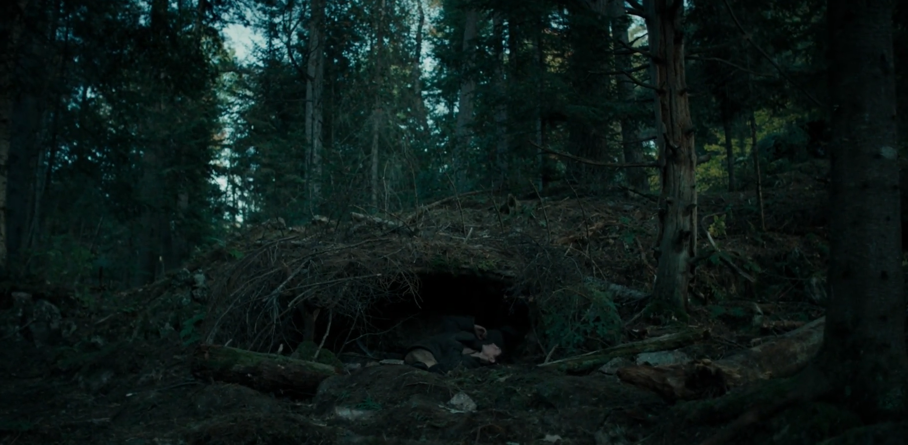 Кадр 2 з Хлопчик у лісі