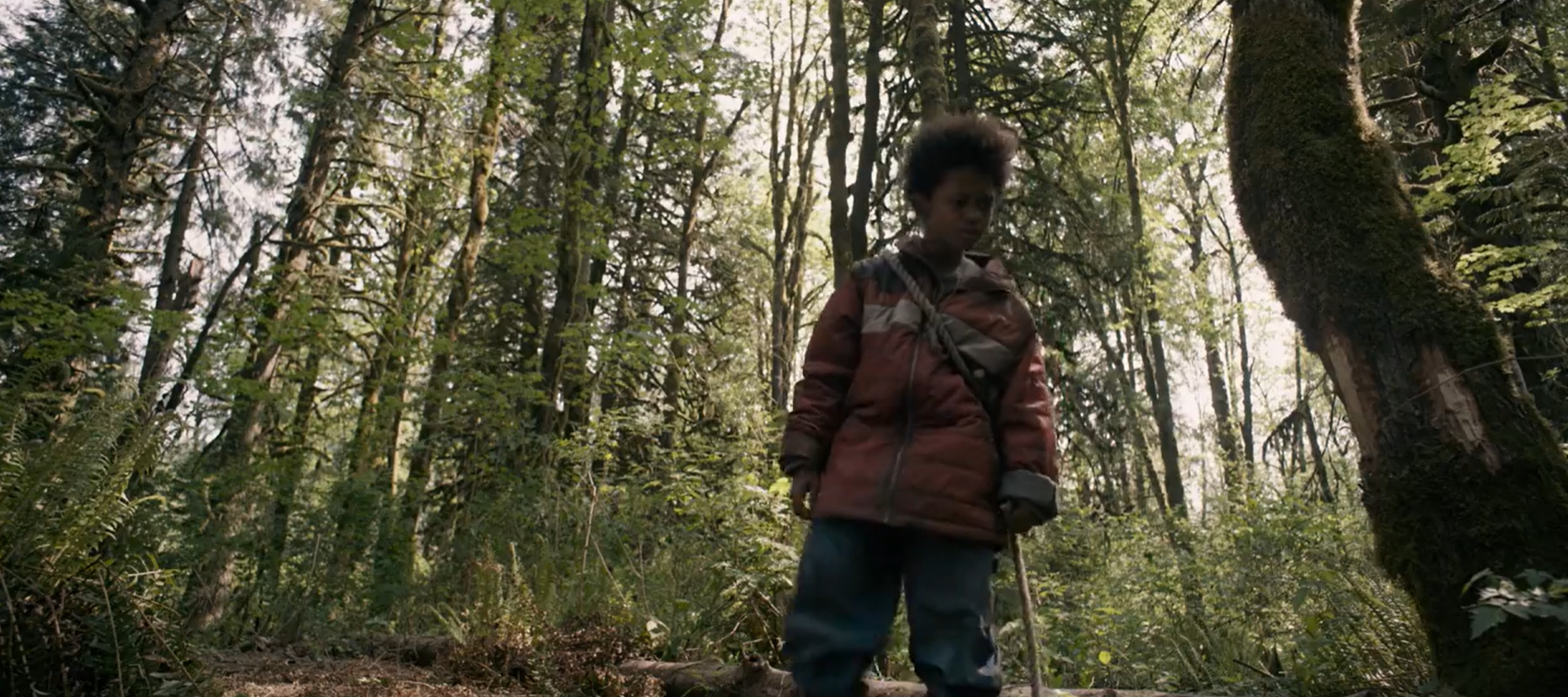 Кадр 2 з Хижий ліс