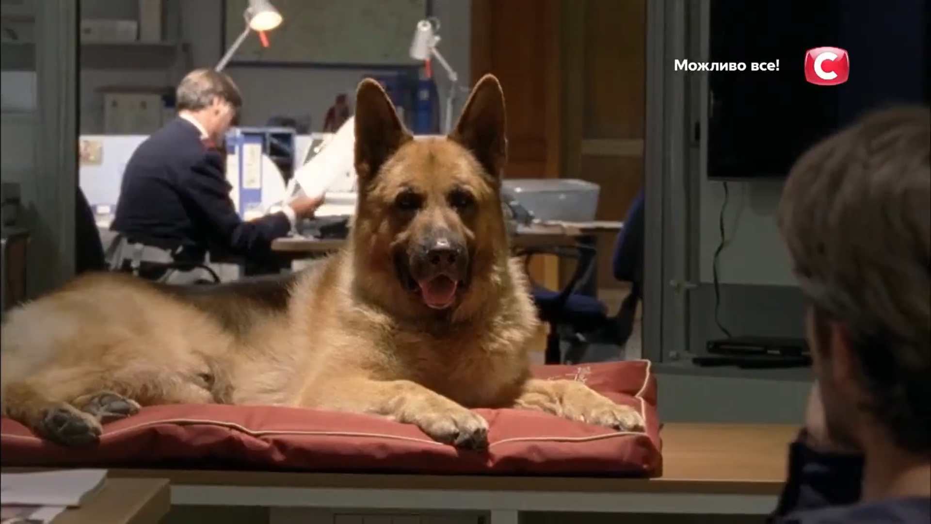 Кадр 2 з Комісар Рекс 14 сезон