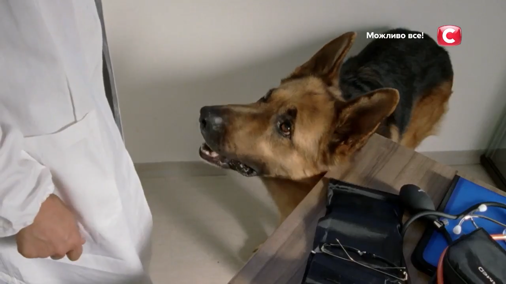 Кадр 2 з Комісар Рекс 15 сезон