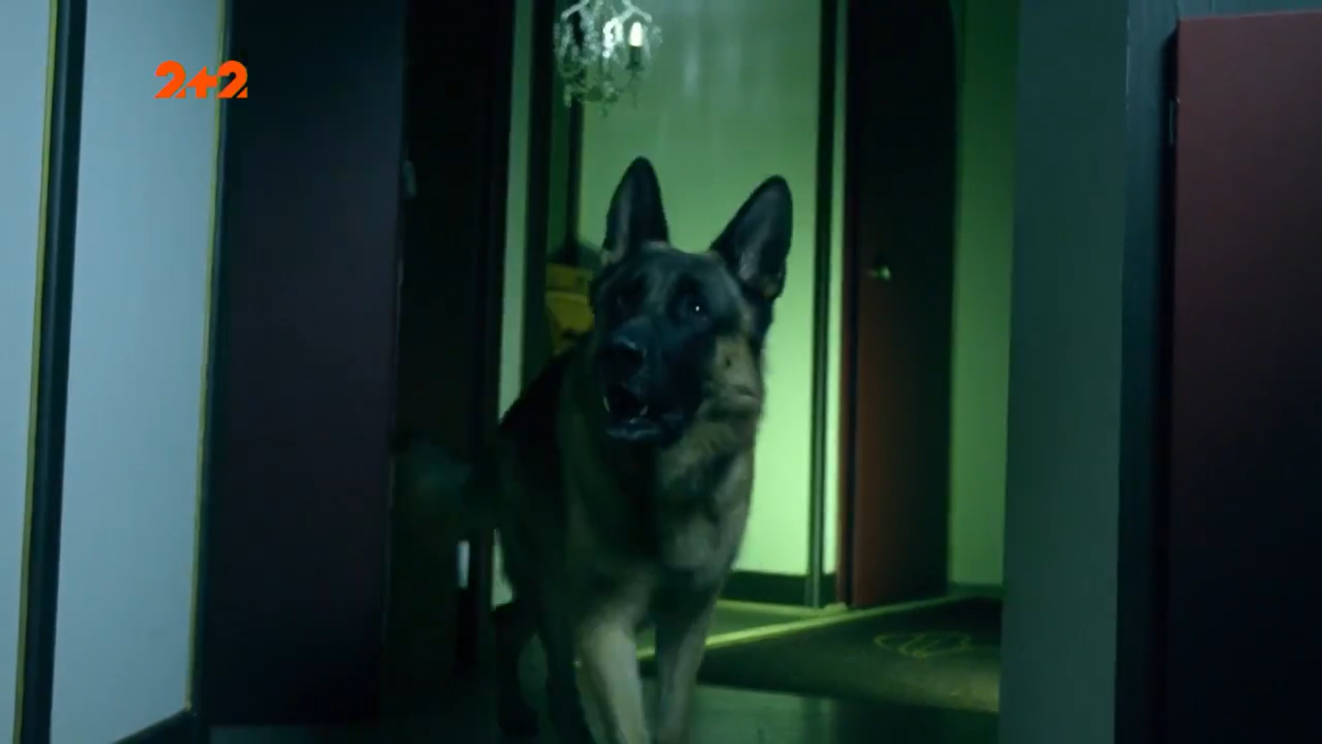 Кадр 1 з Комісар Рекс 17 сезон