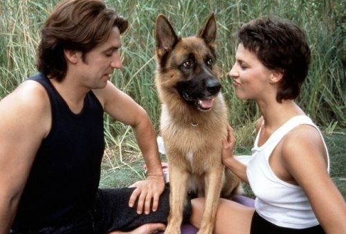 Кадр 4 з Комісар Рекс 8 сезон