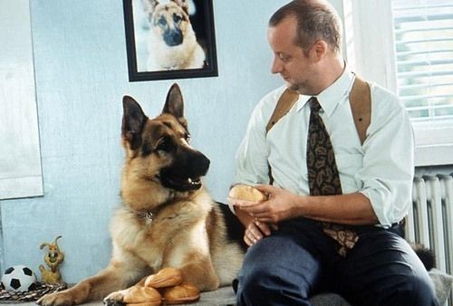 Кадр 3 з Комісар Рекс 9 сезон