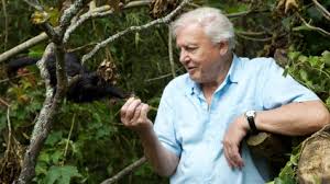 Кадр 2 з Ковчег Аттенборо