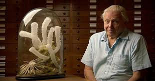 Кадр 4 з Ковчег Аттенборо